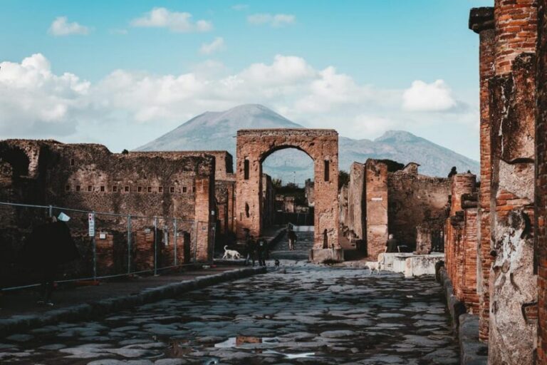 From Herculaneum to Pompeii: Audioguides + Entrance Tickets - Price and value: what you’re paying for at $66.84
