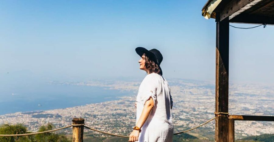 From Naples: All-Inclusive Mount Vesuvius Half-Day Tour - Getting to the Park: Pickup, A/C Minibus, and the Drive Up