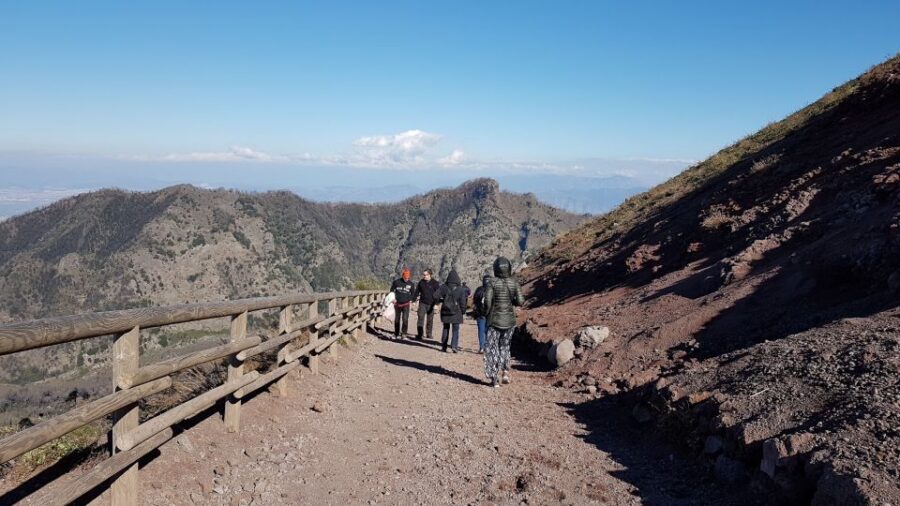 From Naples: Day Trip to Mount Vesuvius - Skip the ticket line, but don’t skip the timing