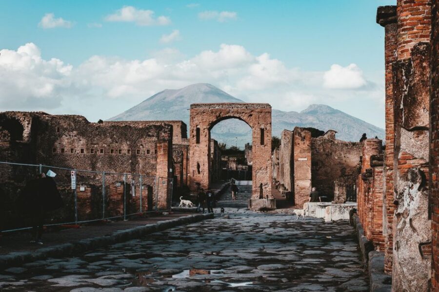 From Naples: Pompeii and Herculaneum Tour with Lunch - Should You Book This Pompeii and Herculaneum Tour?