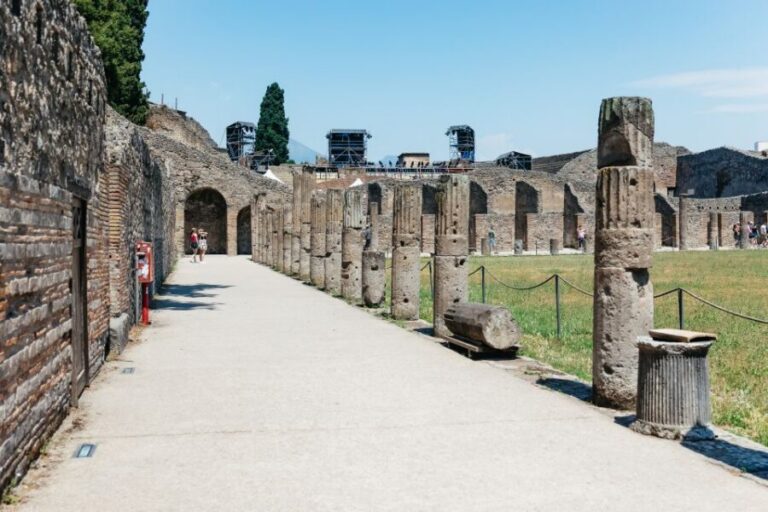 From Naples: Pompeii Ruins & Mount Vesuvius Day Tour - Getting to Pompeii: smooth transfers, then a real guided walkthrough