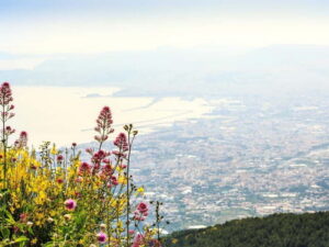 From Naples Port: Pompeii and Mt. Vesuvius Day Trip - The Vesuvius Part: Views, a Real Climb, and a Crater You Can Actually See