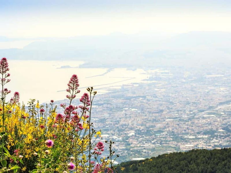 From Naples Port: Pompeii and Mt. Vesuvius Day Trip - The Vesuvius Part: Views, a Real Climb, and a Crater You Can Actually See