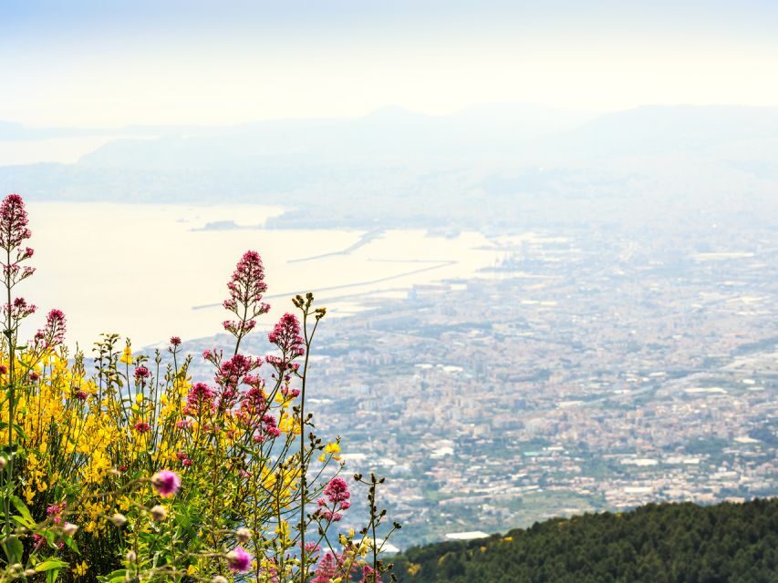 From Naples: Vesuvius & Pompeii with Transfer & Audio Guide - A One-Day Combo That Actually Fits: Vesuvius + Pompeii