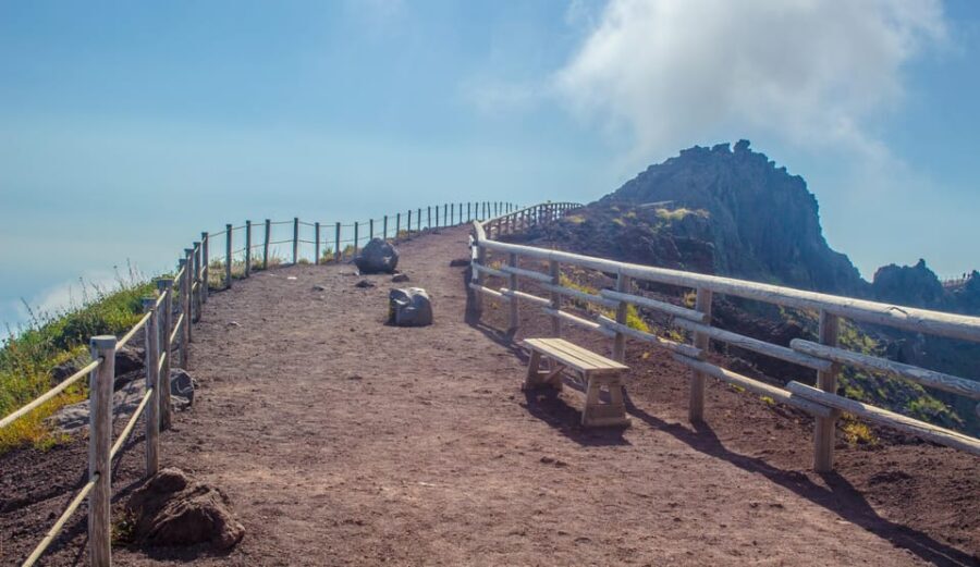 From Pompeii: Vesuvius Entry with Transfer and Audioguide - Who This Vesuvius Trip Fits Best