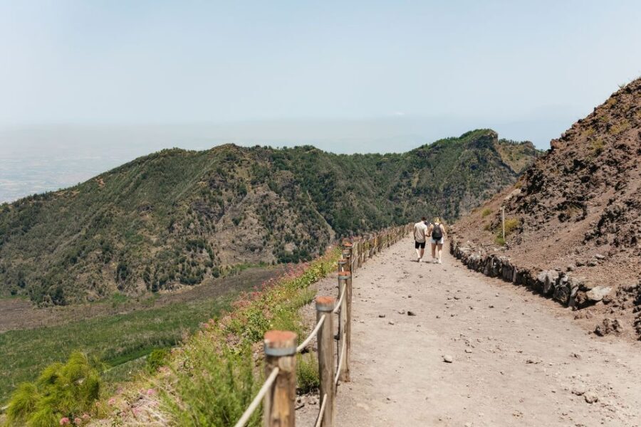 From Rome: Pompeii Day Trip with Optional Vesuvius and Lunch - Private Air-Conditioned Coach from Rome: Comfort Helps on Long Days