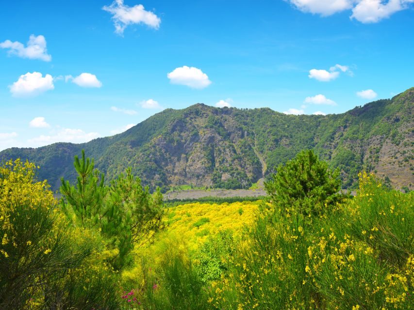 From Salerno: Vesuvius & Pompeii with audioguide - Who this tour suits best (and who should think twice)