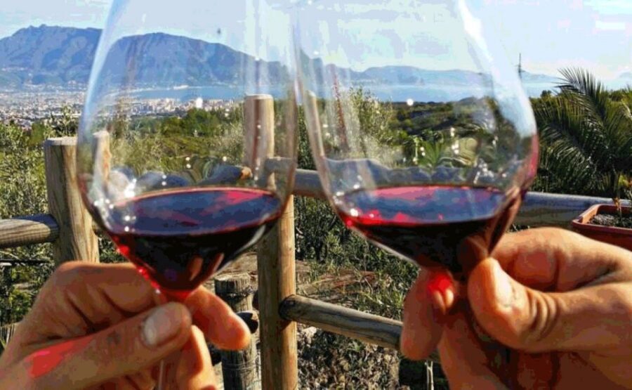 From Sorrento: Pompeii & Mt. Vesuvius Tour with Lunch & Wine - Mt. Vesuvius rim walk: what you get at 1,000 meters