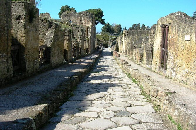 Herculaneum Guided Group Tour from Naples - Price and Value: Is About $82 Fair for 3 Hours?