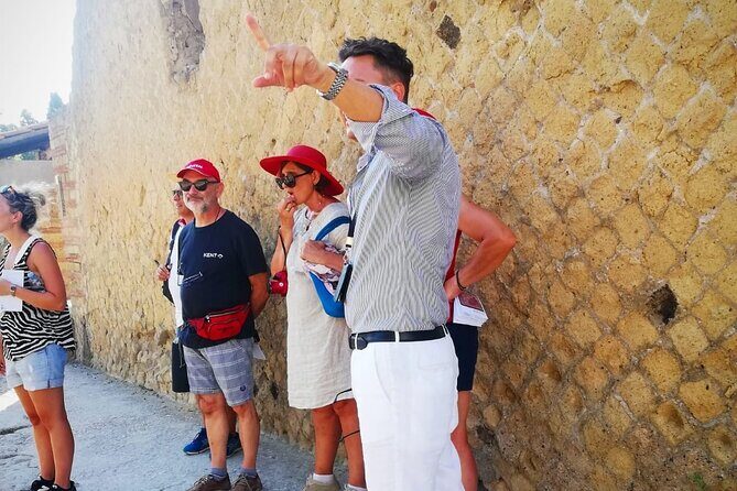 Herculaneum Private Tour with an Expert Archaeologist - Roman Domus, Shops, and Public Baths: Daily Life in Stone and Space