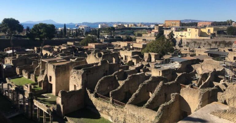 Pompeii and Herculaneum: Guided Tour with an Archaeologist - Meet Benedetto at Ristorante Suisse (and get your bearings fast)
