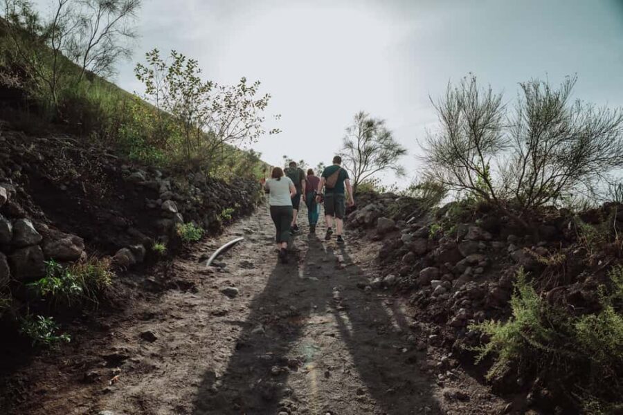Pompeii and Mount Vesuvius excursion from Naples - Mount Vesuvius Hike: audioguide storytelling plus crater-edge views