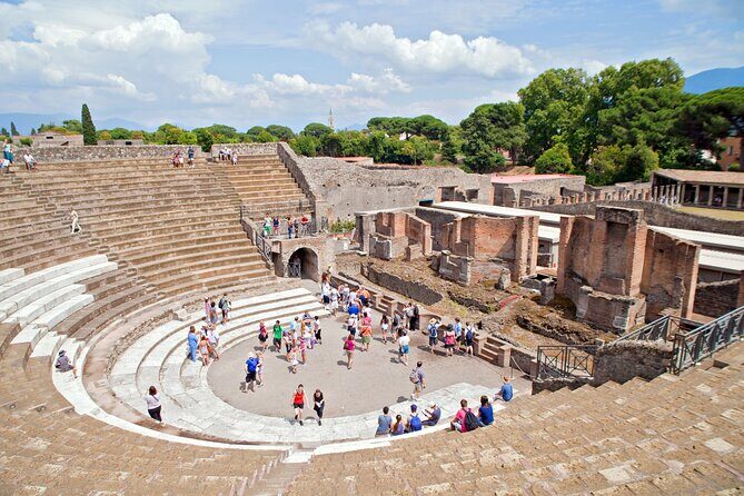 Pompeii and Vesuvius Wine Tasting Private Tour - Pompeii ruins with guide or self-paced sections