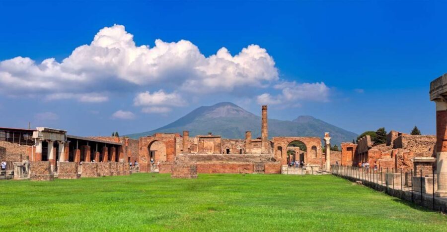 Pompeii, Herculaneum, and Vesuvius: Full-Day Tour - Vesuvius National Park: 90 minutes, then the crater walk