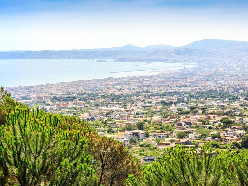 Pompeii: Mount Vesuvius Park Entry Ticket and Transfer - Key things to know before you go