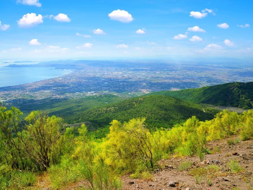 Pompeii: Mount Vesuvius Park Entry Ticket and Transfer - Who this tour fits best (and who should skip it)