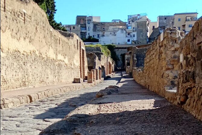 Private Tour in Herculaneum with an authorized guide - Getting to Ercolano Scavi and timing your day around it